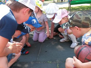 Колобок и исследователи