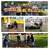«Даёшь – субботник!»