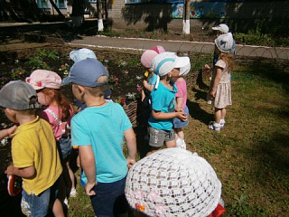 "Кто эти насекомые"