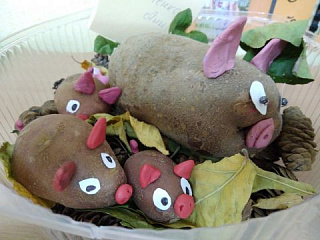 Что нам осень подарила?