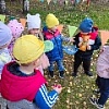 "Экологическое путешествие"