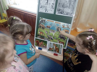 Животные леса