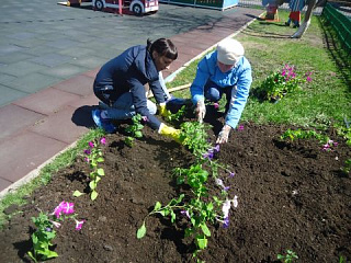 Акция "Цветущий сад"