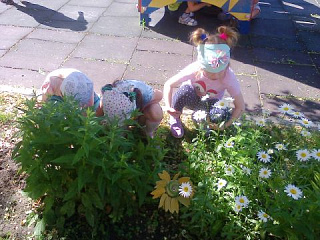 Мы знакомимся с цветами