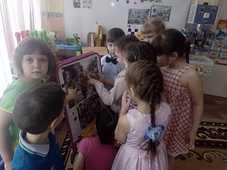 Путешествие в историю