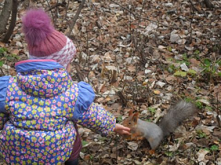 Дорогою добра!