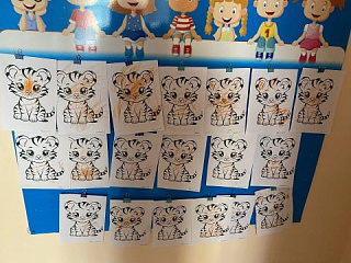 "Волшебная палочка"