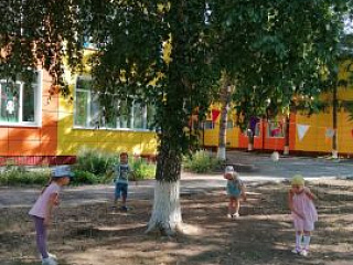 Дети группы «Дружная семейка» совершили путешествие, в ходе которого много узнали о дереве берёза.