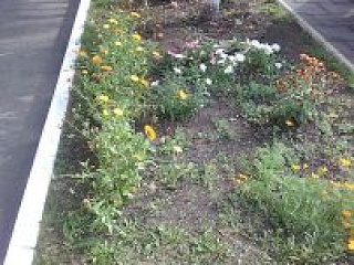 Спасибо от группы "Ромашка"