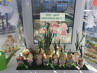 "Зелёный  лук - для  здоровья друг!"