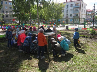 Новые жители нашего сада