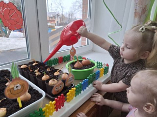 "Огород на подоконнике"