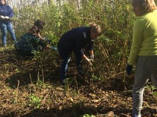 Акция "Зеленая Россия"