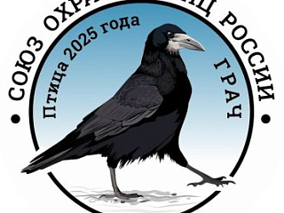 Грачи прилетели.