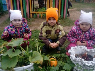 Осень, осень в гости просим!