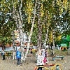 "Краски осени"
