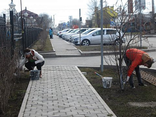 Спасибо за участие в акции "Зеленая весна"