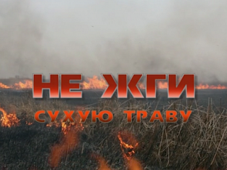 Не жги сухую траву