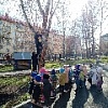 "Экологическое воспитание в детском саду"